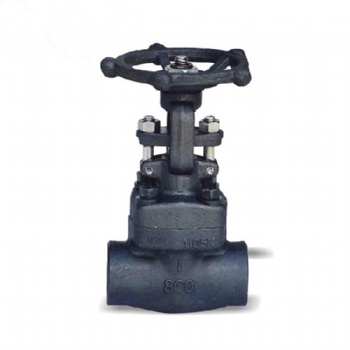 API 602 Forged steel gate valve