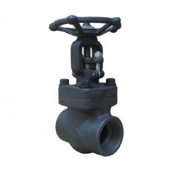 API 602 Forged steel gate valve