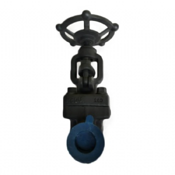 API 602 Forged steel gate valve