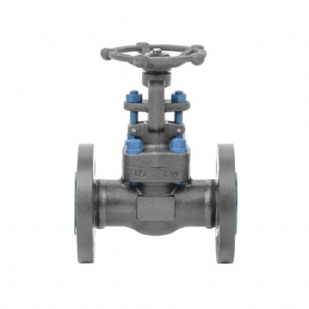 Low temperature flanged welded forged steel gate valve