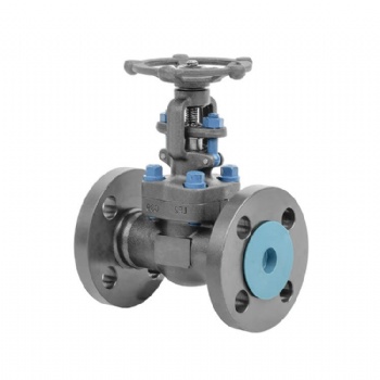 Low temperature flanged welded forged steel gate valve