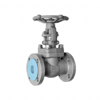 Forged steel flanged end gate valve