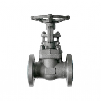 Forged steel flanged end gate valve