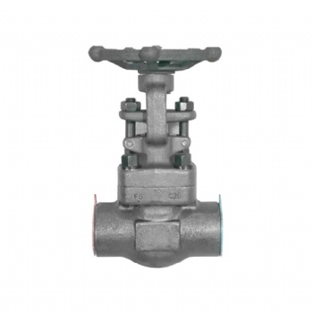 Forged steel socket welded gate valve