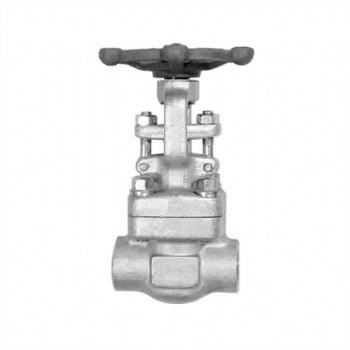 Stainless steel threaded end gate valve