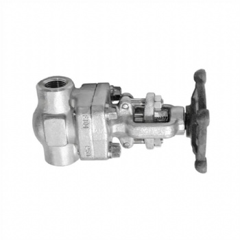 Stainless steel threaded end gate valve