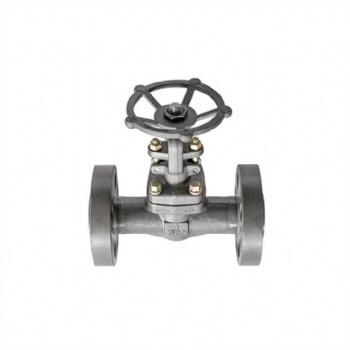 Integral flange forged steel gate valve