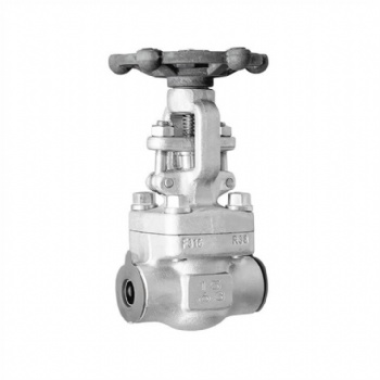 Stainless Steel Socket Welded Gate Valve