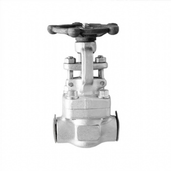 Stainless Steel Socket Welded Gate Valve