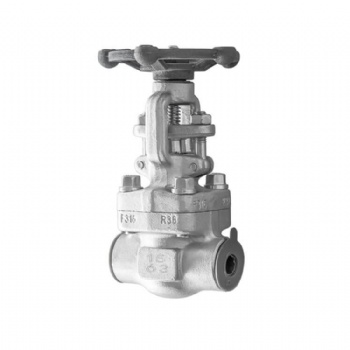 Stainless Steel Socket Welded Gate Valve