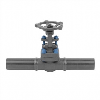 Body extended forged steel gate valve