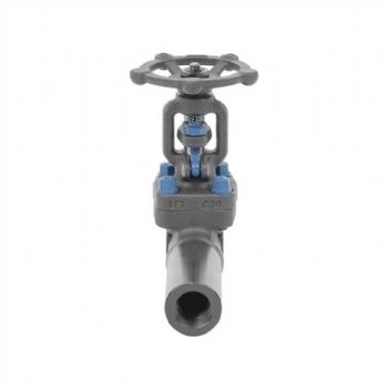 Body extended forged steel gate valve