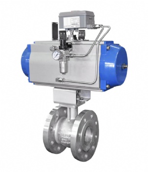 Eccentric Rotary Control Valve