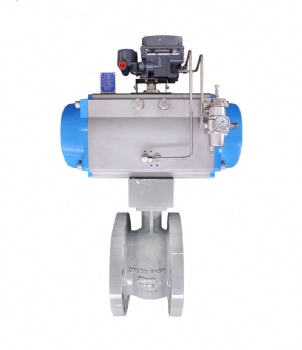 Eccentric Rotary Control Valve