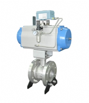 Eccentric Rotary Control Valve