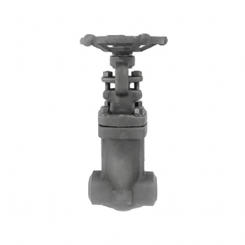 Forged steel bellows seal globe valve