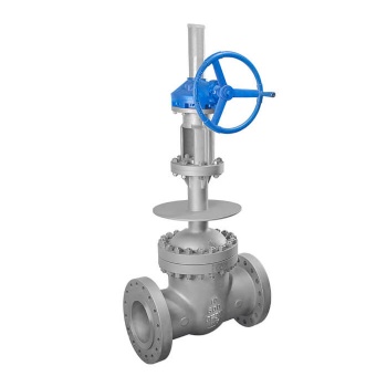 Cryogenic flanged gate valve