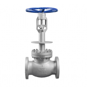 Cryogenic flanged globe valve