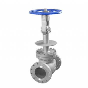 Cryogenic flanged globe valve