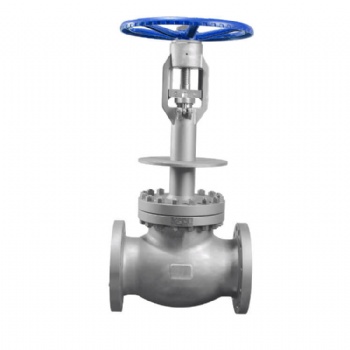 Cryogenic flanged globe valve