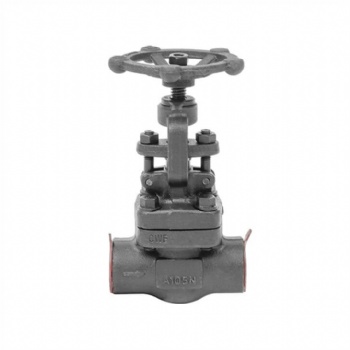 Forged steel bolted bonnet threaded globe valve