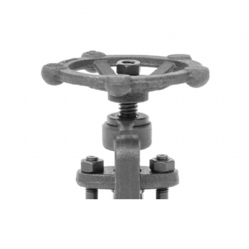 Forged steel bolted bonnet threaded globe valve