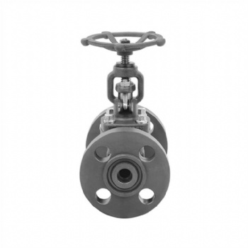 Forged steel integral flanged globe valve