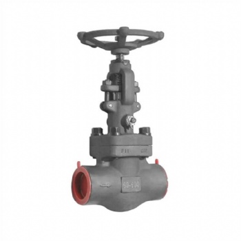 Forged steel vacuum globe valve