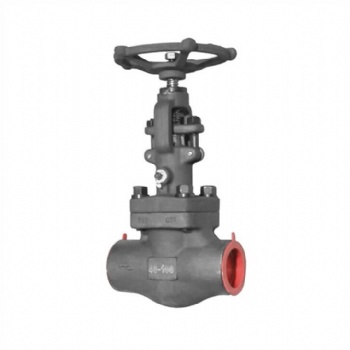 Forged steel vacuum globe valve