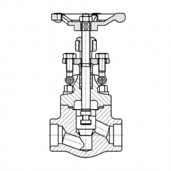 Forged steel vacuum globe valve