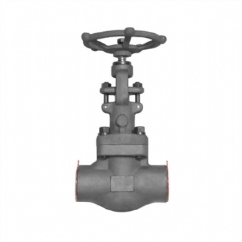 Forged steel vacuum globe valve