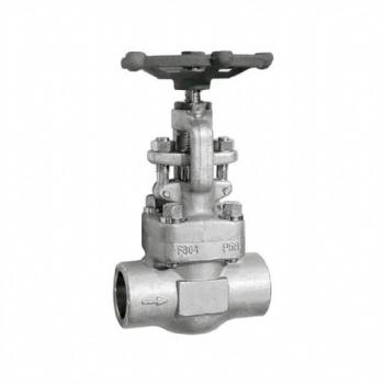 Stainless steel socket welded globe valve