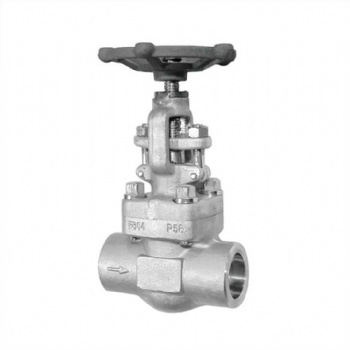 Stainless steel socket welded globe valve