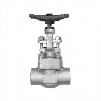 Stainless steel socket welded globe valve