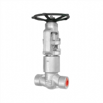 Stainless steel pressure self-sealing globe valve