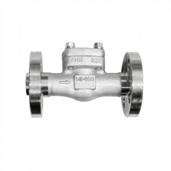 Stainless steel integral flange check valve