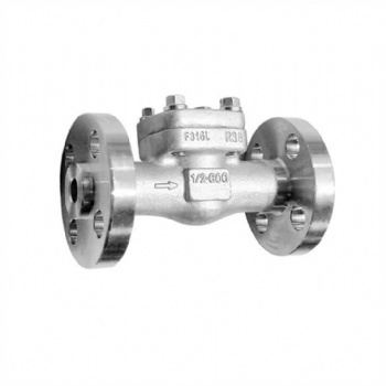 Stainless steel integral flange check valve