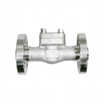 Stainless steel integral flange check valve