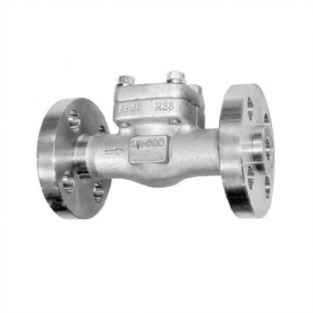 Stainless steel integral flange check valve