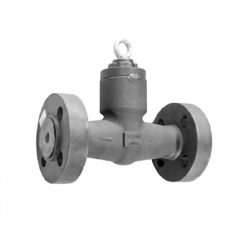 Integral flange pressure self-sealing swing check valve