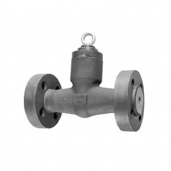 Integral flange pressure self-sealing swing check valve