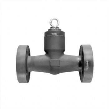 Integral flange pressure self-sealing swing check valve